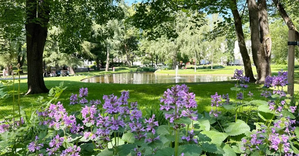 Beautiful flowers in Slottsparken. Photo by: Montage